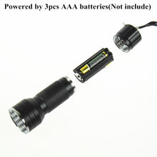 Load image into Gallery viewer, 21 LED's Flashlight Ultra Violet UV; Flashlight/Black Light; AAA Battery
