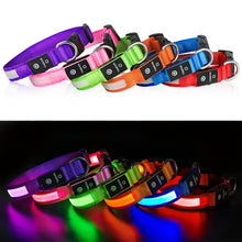 Load image into Gallery viewer, MASBRILL LED Dog Collar Luminous; Waterproof Safety Glow Necklace; Flashing