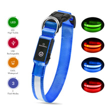 Load image into Gallery viewer, MASBRILL LED Dog Collar Luminous; Waterproof Safety Glow Necklace; Flashing