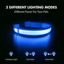 Load image into Gallery viewer, MASBRILL LED Dog Collar Luminous; Waterproof Safety Glow Necklace; Flashing