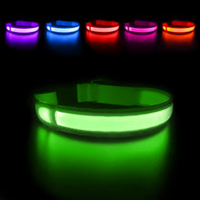 Load image into Gallery viewer, MASBRILL LED Dog Collar Luminous; Waterproof Safety Glow Necklace; Flashing
