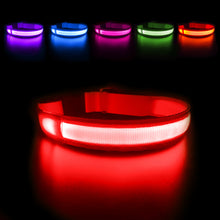 Load image into Gallery viewer, MASBRILL LED Dog Collar Luminous; Waterproof Safety Glow Necklace; Flashing