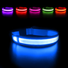 Load image into Gallery viewer, MASBRILL LED Dog Collar Luminous; Waterproof Safety Glow Necklace; Flashing