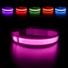 Load image into Gallery viewer, MASBRILL LED Dog Collar Luminous; Waterproof Safety Glow Necklace; Flashing