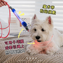 Load image into Gallery viewer, Laroo Laroo Pet Dog Luminous Jelly All-Match with Pendant Night Dog Walking; Strong Endurance Velcro
