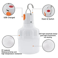 Load image into Gallery viewer, Outdoor USB Rechargeable LED Lamp Bulbs; High Brightness; Emergency Light Hook Up

