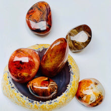 Load image into Gallery viewer, 1pc 10-120g Natural Sardonyx Agate Stone; Polished Mineral
