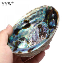 Load image into Gallery viewer, Large Rainbow Abalone Shell; Oval Smudging Bowl w/ Velvet Pouch
