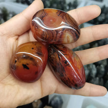Load image into Gallery viewer, Sardonyx Silk Agate Stones; Healing Crystals &amp; Protective Powers

